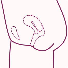 Preparation stage for identification or insertion of the menstrual disc - step 3